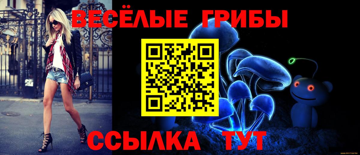 Псилоцибиновые грибы MAGIC MUSHROOMS Ялта